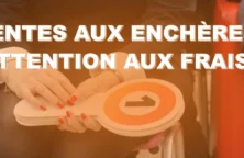 illustration vidéo ventes aux enchères