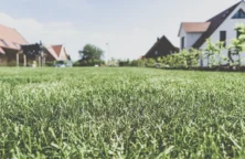 Ruineux ou pas, l’empiètement du voisin doit être supprimé