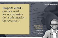 Vignette vidéo - Le Revenu - Christian Fontaine