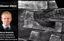 Tribune libre de Michel Wiskirski, gérant spécialisé dans les ressources naturelles chez Carmignac (© DR)
