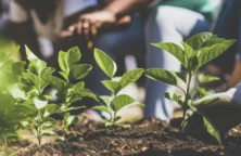 Investir dans l’économie solidaire