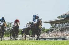 Course de chevaux (©SCOOPDYGA)