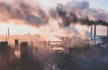 Carbone : l’escroquerie du siècle