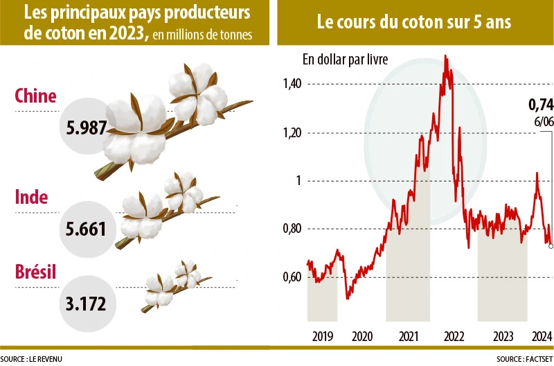Infographie---coton