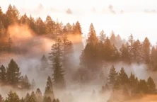 ÉDITO : Les épargnants dans le brouillard